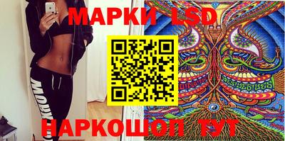 стафф Кингисепп