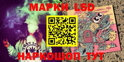 стафф Кингисепп