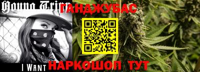 стафф Кингисепп