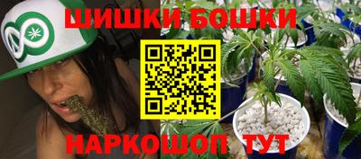стафф Кингисепп