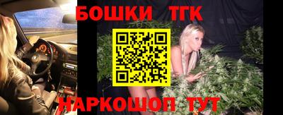 стафф Кингисепп