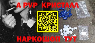 стафф Кингисепп