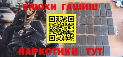 стафф Кингисепп