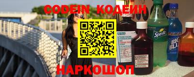 стафф Кингисепп