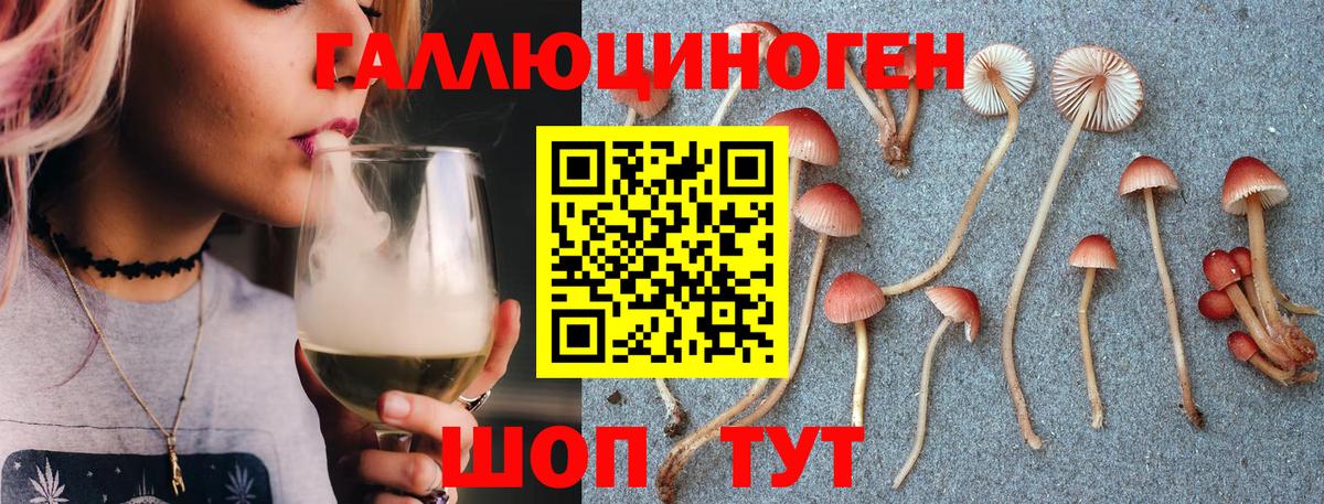 Галлюциногенные грибы мицелий  Псилоцибиновые грибы Psilocybe  Вход с VPN  Кулебаки 